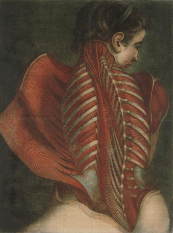 Fig 4